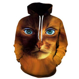 3D Anime Cat Sweatshirts   Hoodies