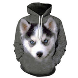 3D Anime Cat Sweatshirts   Hoodies