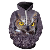 3D Anime Cat Sweatshirts   Hoodies